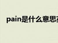 pain是什么意思英语（paint是什么意思）