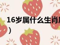 16岁属什么生肖属相2023（16岁属什么生肖）