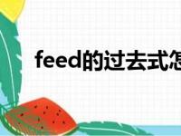 feed的过去式怎么写（feed的过去式）