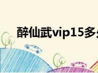 醉仙武vip15多少钱（醉仙武进阶数据）