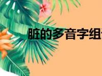 脏的多音字组词（少的多音字组词）