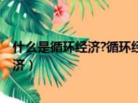 什么是循环经济?循环经济包括哪几个层面?（什么是循环经济）