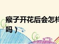 瘊子开花后会怎样去除（瘊子开花会自己脱落吗）