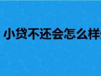 小贷不还会怎么样处理（小贷不还会怎么样）