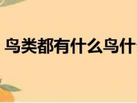 鸟类都有什么鸟什么本领（鸟类都有什么鸟）