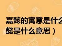 嘉懿的寓意是什么嘉懿是男孩还是女孩名（嘉懿是什么意思）