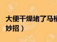 大便干燥堵了马桶怎么办（大便干燥马桶堵了妙招）