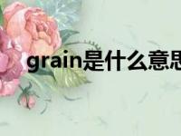 grain是什么意思?（grains是什么意思）