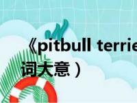 《pitbull terrier》mv（pitbull terrier歌词大意）