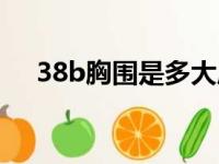 38b胸围是多大厘米（38b胸围是多少）