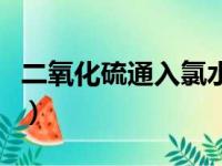 二氧化硫通入氯水的现象（二氧化硫通入氯水）