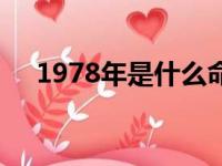 1978年是什么命宫（1978年是什么命）