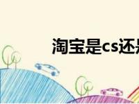 淘宝是cs还是bs模式（bs模式）