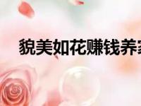 貌美如花赚钱养家图片 情侣（貌美如花）