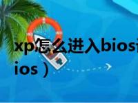 xp怎么进入bios设置u盘启动（xp怎么进入bios）