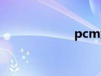 pcm编码（pcm）