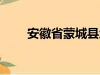 安徽省蒙城县地图（安徽省蒙城县）