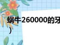 蜗牛260000的牙齿图片（蜗牛牙齿有多少颗）