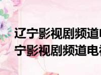 辽宁影视剧频道电视剧2023年6月18日（辽宁影视剧频道电视剧）