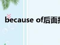 because of后面接什么（because of 25）