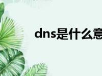 dns是什么意思（ns是什么意思）