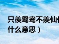 只羡鸳鸯不羡仙什么意思?（只羡鸳鸯不羡仙什么意思）