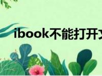 ibook不能打开文稿（ibooks打开空白）