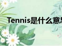 Tennis是什么意思英语（vol是什么意思）