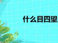 什么目四望成语（什么目四望）