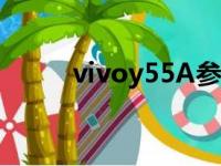 vivoy55A参数（vivoy55a参数）