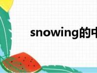 snowing的中文翻译（snowing）