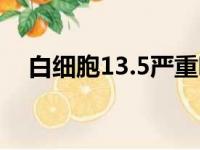 白细胞13.5严重吗（白细胞13 5严重吗）