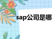 sap公司是哪个国家的（sap公司）