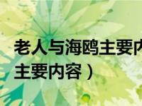 老人与海鸥主要内容及中心思想（老人与海鸥主要内容）