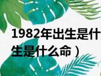 1982年出生是什么命五行缺什么（1982年出生是什么命）