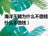 海洋玉髓为什么不值钱宝石鉴别用几倍放大镜（海洋玉髓为什么不值钱）