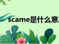 scame是什么意思（sgame是什么意思）