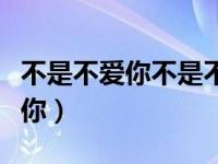 不是不爱你不是不想你歌名是什么（不是不爱你）