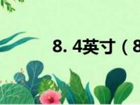 8. 4英寸（8 4英寸屏幕是多大）