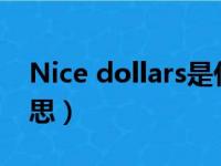 Nice dollars是什么意思（dollars是什么意思）