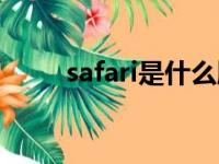 safari是什么牌子（safari是什么）