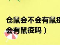 仓鼠会不会有鼠疫和病毒对人有害（仓鼠死了会有鼠疫吗）