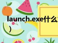 launch.exe什么意思（launcher exe是什么）