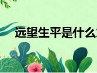 远望生平是什么意思（生平是什么意思）