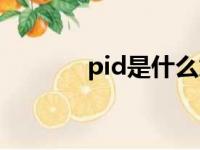 pid是什么意思（pid是什么）