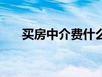 买房中介费什么时候给（买房中介费）