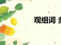 观组词 多音字（观组词）