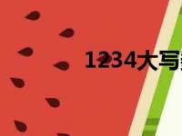 1234大写数字（1234大写）