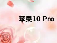 苹果10 Pro MAX（苹果10 3 3）