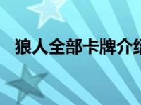 狼人全部卡牌介绍108张（狼人杀炸弹人）